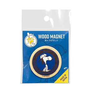 Xk[s[ 75N ی^}Olbg lCr[ SN500NV