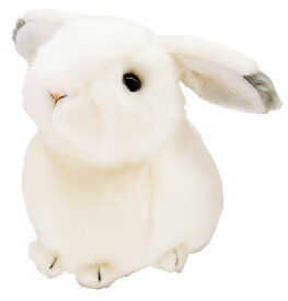 楽天市場 リアルうさぎぬいぐるみの通販 楽天市場 リアルうさぎぬいぐるみの通販