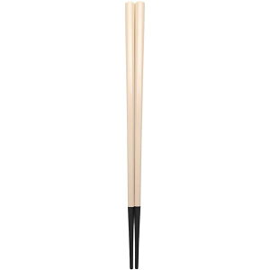 �y5�Z�b�g�z �A�T�q���m �ϔM�� �c�[�g���J���[ 23cm �x�[�W�� JB23-01