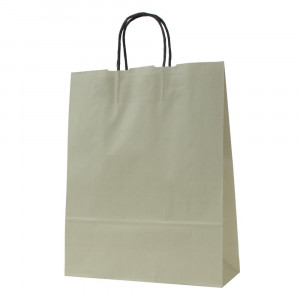 シンプルなデザインの紙袋 パックタケヤマ 手提袋 HZ 見事な 50枚組 XZK00660 グレー 79％以上節約