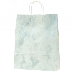 シンプルなデザインの紙袋 パックタケヤマ 競売 手提袋 HZ ルネッサンスグレイ 最大41%OFFクーポン 50枚組 XZK00663