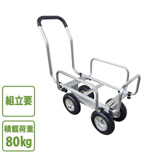 _ƗpA~J[g nEXpA~J[g ؎n _ n