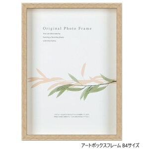 A.P.J. BOXt[ A[g{bNXt[ :50mm B4TCY 257×364mm i` 0021765145