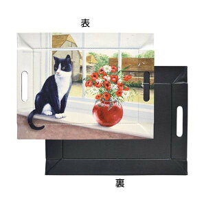 EXELUX t[tH[g[ S M[ Lbg/ubN TDFFGCT-BK