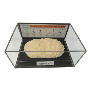 ���b�͌^�t�B�M���A�P�[�X�� 500g IP-977