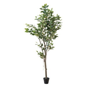 ϗtA  ^ tFCNO[ ^ lHϗtA ^ϗtA