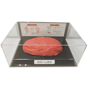 �ؓ��͌^�t�B�M���A�P�[�X�� 1kg IP-986