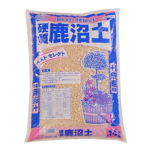 ���������| �d�������y 14L 4��