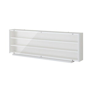 N�Q�[�W�@HO�Q�[�W�Ή��@�S���͌^�f�B�X�v���C�P�[�X��93cm�@�z���C�g�@TMC-K93W