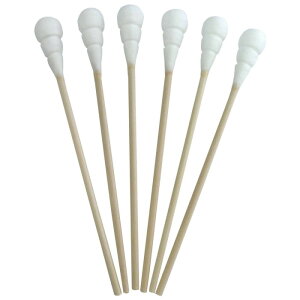 ���|���p�r�b�N���[���Ȗ_ 6�{�� C-69-B