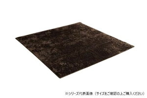 ���O ���ۉ��H ��3�� ��200×250cm �z�b�g�J�[�y�b�g�Ή� �u���E�� 3985119