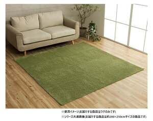 �~�b�N�X�p�C�� ���O ��3�� ��200×250cm �z�b�g�J�[�y�b�g�Ή� �O���[�� 3985479