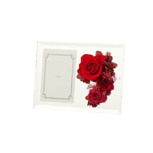 �t�����[�A�����W �t�H�g�~���[ ���b�h F-2776