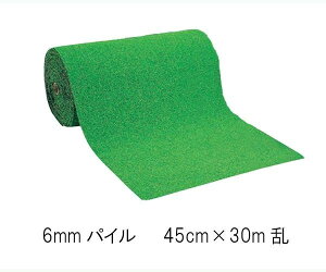 St lH [ 30m ƒplHŐ 6mm lHŃ[