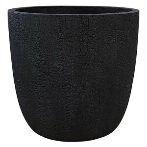 �A�ؔ� �o�[�E�b�h ���E���h �u���b�N 40cm 30L �t�@�C�o�[�N���C ��