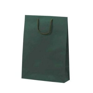 �N���t�g���� �O���[�� 10���Z�b�g 33×10×45cm ���� ���� ���b�s���O