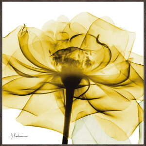 �L�����o�X�A�[�g �o�� �� �G�� �����t���[�� �Ǌ|�� �C���e���A 30.5cm