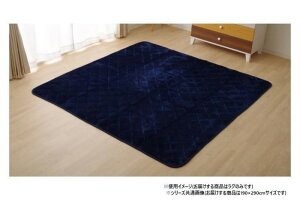 �L���g���O �t�����l�� �l�C�r�[ 190×290cm �R�ۖh�L �E���^������ ����~��