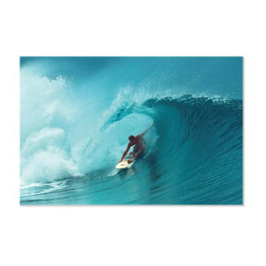 �K���X�A�[�g�s�N�`���[ M�T�C�Y 40.5×27cm �����K���X �C���e���A