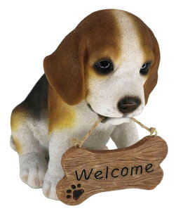 ���̒u�� �r�[�O�� �I�[�i�����g welcome�T�C�� ���A�� ���� �}�X�R�b�g