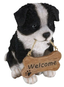 �I�[�i�����g �� �{�[�_�[�R���[ welcome�T�C���t�� �u�� ���W�� ���A��