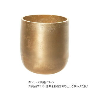 �A���~�j�E���Ԋ� ������ �t�����[�x�[�X ��13cm �C���e���A �G��