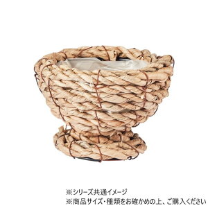�t�����[�o�X�P�b�g NEW �u�^ L�T�C�Y ���a18cm �|�� �� �A�����W�p