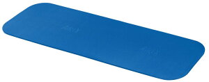 �g���[�j���O�}�b�g 185×60cm �u���[ AIREX �f�M ����~�� �X�C�X��