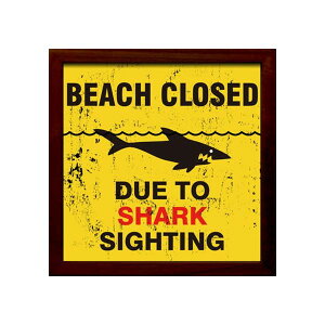 �T�C���t���[�� ���킢�̂���f�U�C�� Shark Sighting �z��