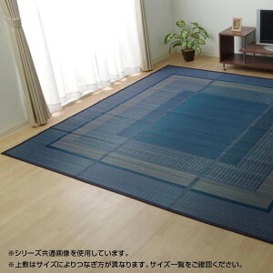 �����J�[�y�b�g �����N�X���F �l�C�r�[ �]�ˊ�4.5�� 261×261cm