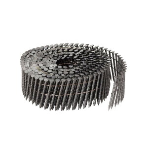 �X�N�����[�B ���`�� 2.1×50mm 400�{�� 10������ ���C���[�A���B