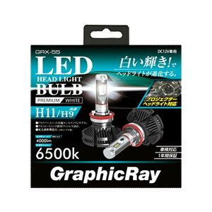 LED�w�b�h�����v �o���u H11 6500K �v���~�A���z���C�g �Ԍ��Ή�