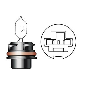 M��H�}�c�V�} �n���Q���o���u(1��) PH11 12v40/40w �X�[�p�[�S�[�X�g6000 101 S6K
