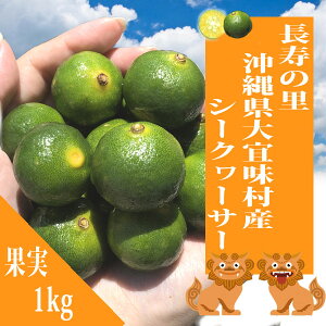 ꌧXY Ѝ͔| y1kgz ؂V[N[T[ ʎ V[N[T[ 썑t[c t[c k  VN N e  mr`ye-炾Âz