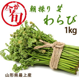 山形県産 朝採りわらび 1kg 天然わらび 生わらび 山菜 国産 県産 採れたて 新鮮【e-からだづくり】