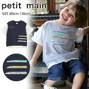 yZ[30%OFFzveB}CyVzzFTVc (80cm-130cm) gbvX  TVc hJ oCJ[ V d ͂Ԃ hN^[CG[  ʉ ʊw q LbY x