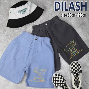 yZ[40%OFFzfBbV hイ4.5pc (80cm-120cm) {gX pc n[tpc 4.5  gPgvX hJ   q q LbY j̎q DILASH yDL25MS039