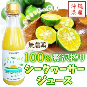 y_Ew엿sgpzꌧY V[N[T[100%W[X (300mlE500ml) V[N[T[ ؂ ʏ`100% t Xg[g ۍ L@͔| I[KjbN _ _͔| r^~C 