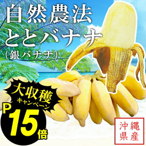 y|Cg15{Izy͔|ԒA_zꌧY oii (1.5kg) R_@ _͔| oii oii t[c ʕ  󏭕i ̃oii Ƃƃoii yY 