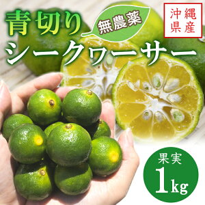 y͔|ԒA_zꌧY ؂V[N[T[ (1kg) V[N[T[ ʎ V[N[T[ ؂ L@͔| I[KjbN _ _͔| 썑t[c ʕ  