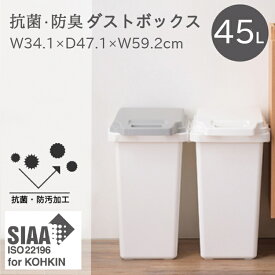 ゴミ箱 ごみ箱 45リットル 抗菌 防臭 臭い漏れ防止 ワンハンド 開閉式 ゴミ分別 屋外 屋内 ダストボックス シンプル スリム 無地 ふた付き フタ付き ホワイト グレー 分別 生ゴミ おむつ 生理用品 自宅 室内 45L RSD-75 白 灰色 淡色 ナチュラル おしゃれ 北欧