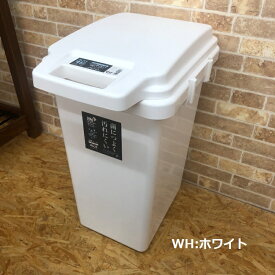 ゴミ箱 ごみ箱 33リットル 抗菌 防臭 臭い漏れ防止 ワンハンド 開閉式 ゴミ分別 屋外 屋内 ごみ箱 ダストボックス シンプル スリム 無地 ふた付き フタ付き ホワイト グレー 生ゴミ 分別 おむつ 生理用品 自宅 室内 33L RSD-74 白 灰色 淡色 ナチュラル おしゃれ 北欧