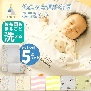 QzcZbg 5_Zbg 100 Rbg ۈ牀  xr[ LbY Qzc QZbg Qp ̎q j̎q Vv i` k WF 킢  x[W 