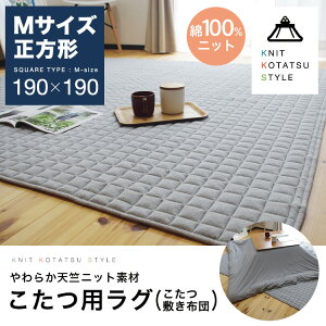 ~zc 􂦂 J[ybg 190×190cm ` ~}bg  100% Rbg @ ȓ O O}bg  2 rO t[O ۖ n O[ Vjbg 