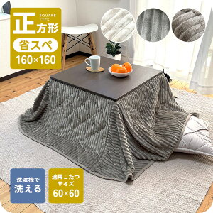 yMAX1,000~OFFN[|z|zc ` ȃXy[X 160×160  R[fC ~jTCY 60p O[ AC{[ ~fBAuE 킢 ӂӂ {An  􂦂 V