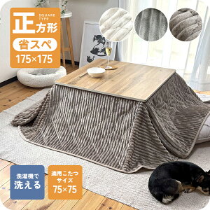 |zc ` ȃXy[X 175×175  R[fC ~jTCY 75p O[ AC{[ ~fBAuE 킢 ӂӂ {An  􂦂 Vv RpNg 1l