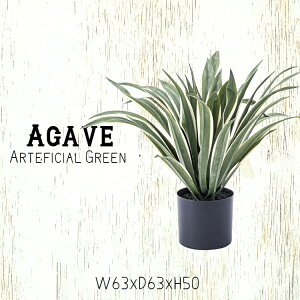 lHϗtA AKx tFCNO[  킢 lC  A CeA K[fjO |  grn-13 蕨 zj ړ]j Vzj v[g