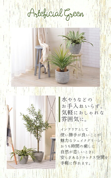 楽天市場 人工観葉植物 アガベ フェイクグリーン おしゃれ かわいい 人気 造花 リアル インテリア ガーデニング 園芸 玄関 Grn 13 贈り物 引っ越し祝い 移転祝い 新築祝い プレゼント ポコア 京都生まれのふとん店