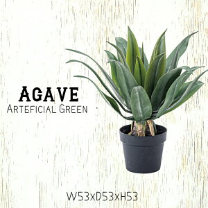 lHϗtA AKx tFCNO[  킢 lC  A CeA K[fjO |  grn-14 蕨 zj ړ]j Vzj v[g