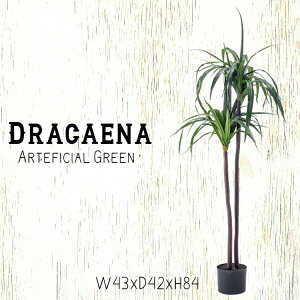 lHϗtA hZi tFCNO[  킢 lC  A CeA K[fjO |  grn-15 蕨 zj ړ]j Vzj v[g